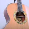 Lee Guitars Ƽ