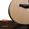 Taylor 814CE