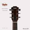 Taylor GS Mini-e Mahogany