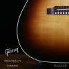 Gibson Slash J-45 佥