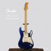 Fender 011-8012-795  ۾