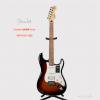 Fender 014-4523-500 ϵ Stratocaster