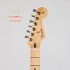 Fender 014-4502-500 ϵ Stratocaster