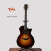 Taylor 914CE SB ɫ
