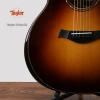 Taylor 914CE SB ɫ