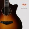 Taylor 914CE SB ɫ