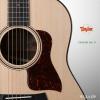 Taylor AD17