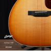 ۳ Collings OM3 ⶨ ֹҥ