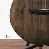 LeeGuitars  ʮ Ⱦ