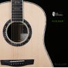 ۳ Lee Guitars ؼͲ 2021