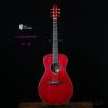 ۳ Lee Guitars PSR 00221 е