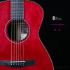۳ Lee Guitars PSR 00221 е