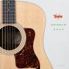 Taylor Western 10E