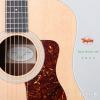 Taylor Western 10E