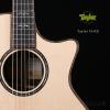 Taylor 914CE