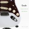Fender 011-8010-781  