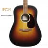 Martin DX2E Burst