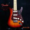 Fender 011-3902-700 ר Strat