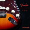Fender 011-3902-700 ר Strat
