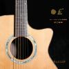 LK LHF-1CR ȱǿ