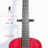 Lee Guitars PSR 200222 е 