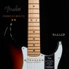 Fender 011-8012-712  Strat