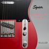 Squier 40ϵ TELE ƹ 037-9501-554