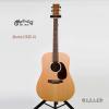 Martin DX2E-01