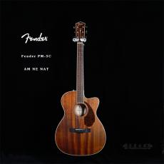 Fender PM-3C AM NE NAT 