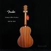 Fender PM-2 AM NE NAT Parlor