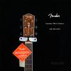 Fender PM-2 AM NE NAT Parlor