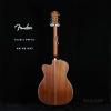 Fender PM-3C AM NE NAT 