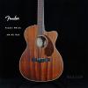 Fender PM-3C AM NE NAT 