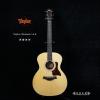 Taylor Western 10-E