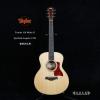 TAYLOR GS Mini-E Quilted Sapele LTD ״ɳ