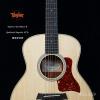 TAYLOR GS Mini-E Quilted Sapele LTD ״ɳ