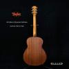 TAYLOR GS Mini-E Special Edition Carbon Burst Top