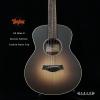TAYLOR GS Mini-E Special Edition Carbon Burst Top