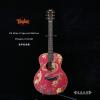 TAYLOR GS Mini-E Special Edition Dragon-Coloful 