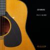 Yamaha FG-5 GLOSS